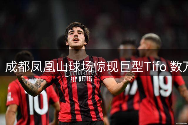 成都凤凰山球场惊现巨型Tifo 数万球迷高呼"All in"为蓉城壮行