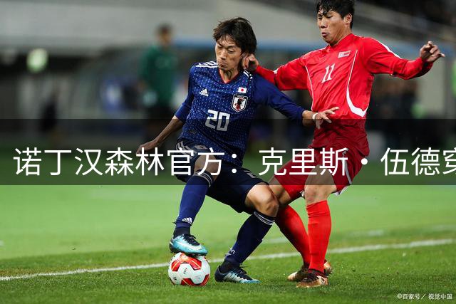 诺丁汉森林官方：克里斯·伍德穿9号球衣，伊戈尔·热苏斯穿11号